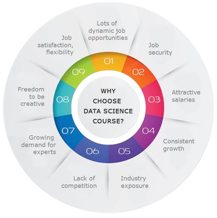 Data_Science_Real_Time_IT_Experts-removebg-preview